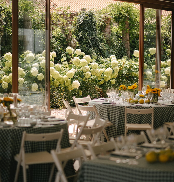 Vista a las hortensias desde el interior del salón acristalado